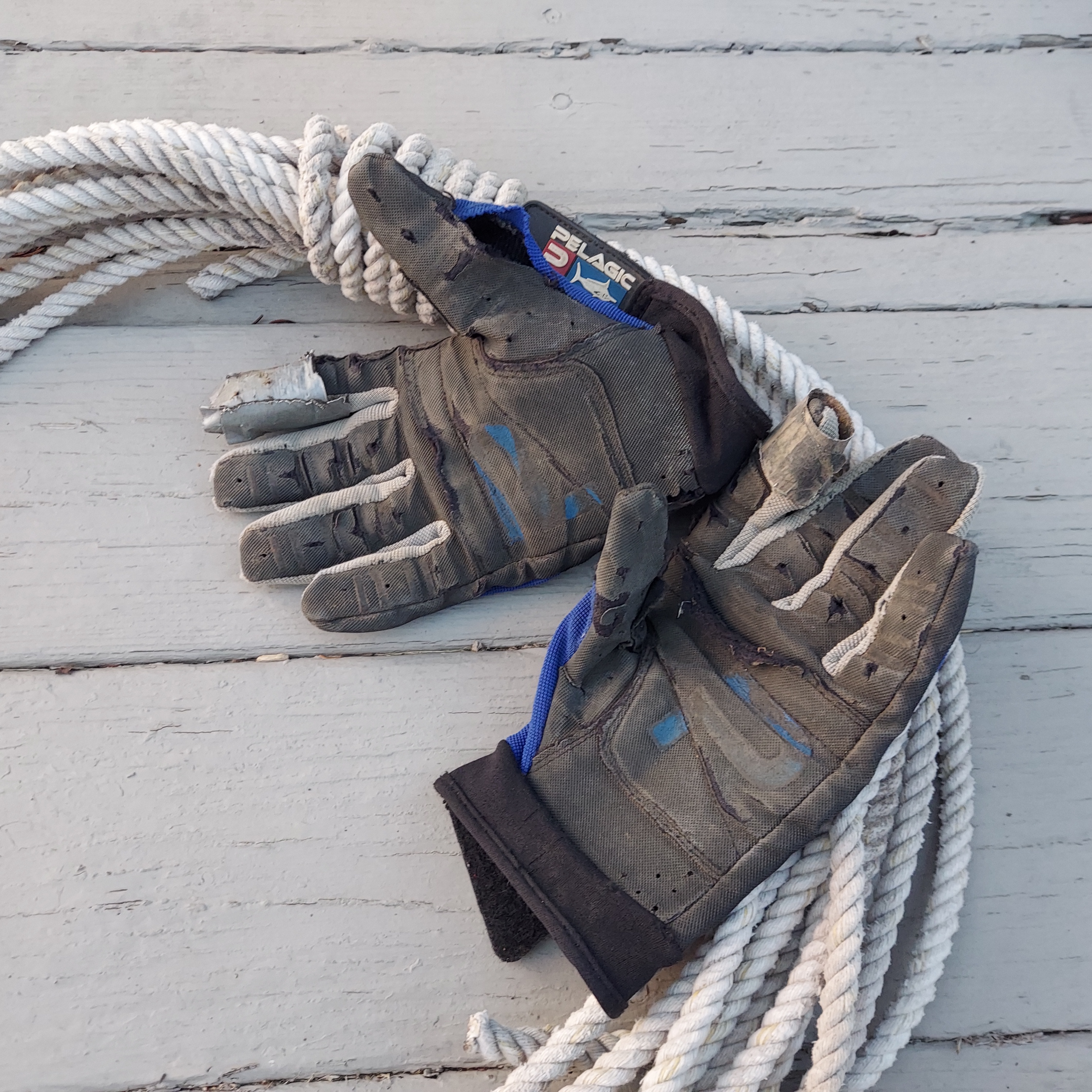 Pelagic End Game Gloves