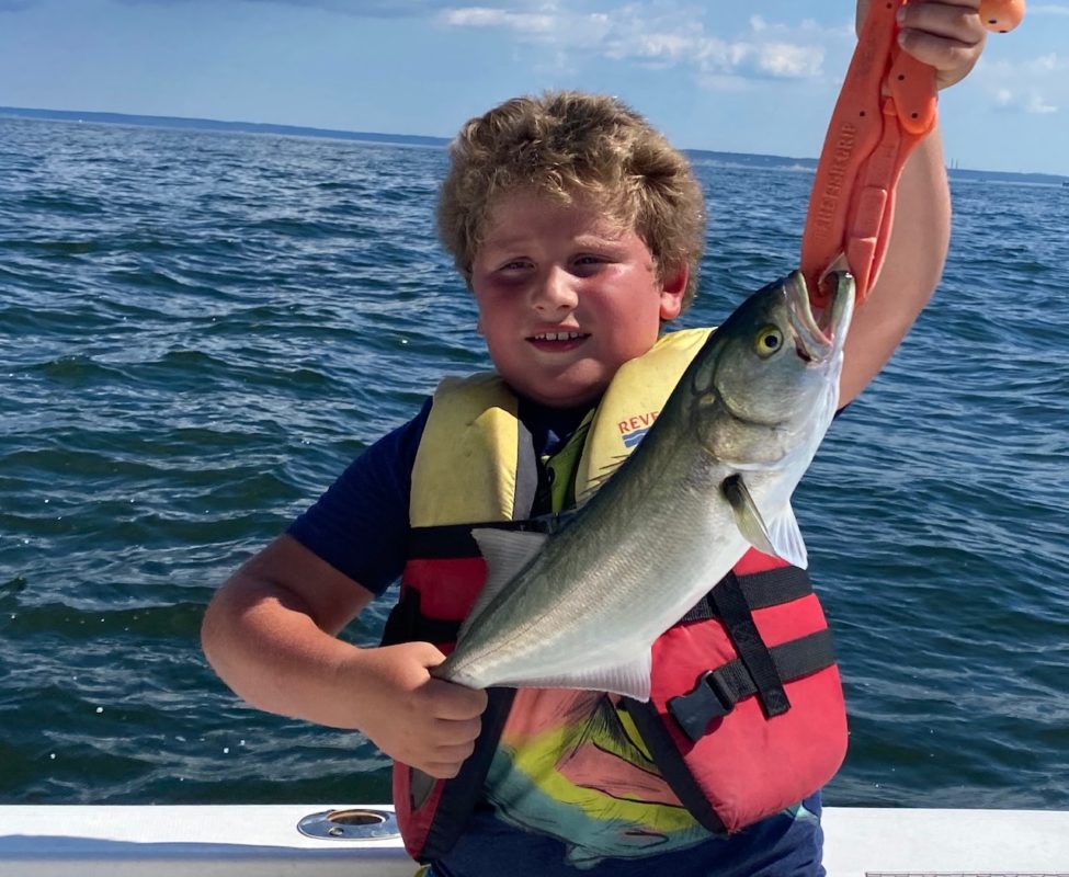 Learn About the Bluefish – Fishing