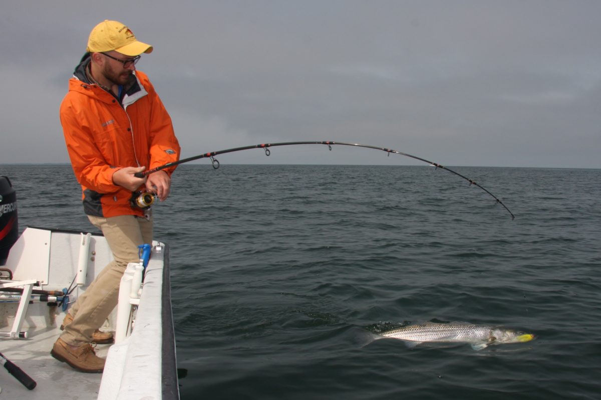 Point-loading and overloading your rod - The Fishing Website